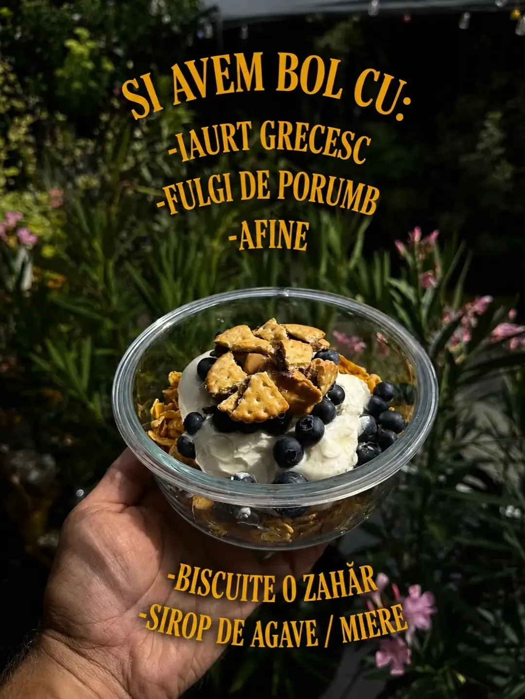 Bolul final cu iaurt grecesc, fulgi de porumb, afine, biscuiți și sirop de agave